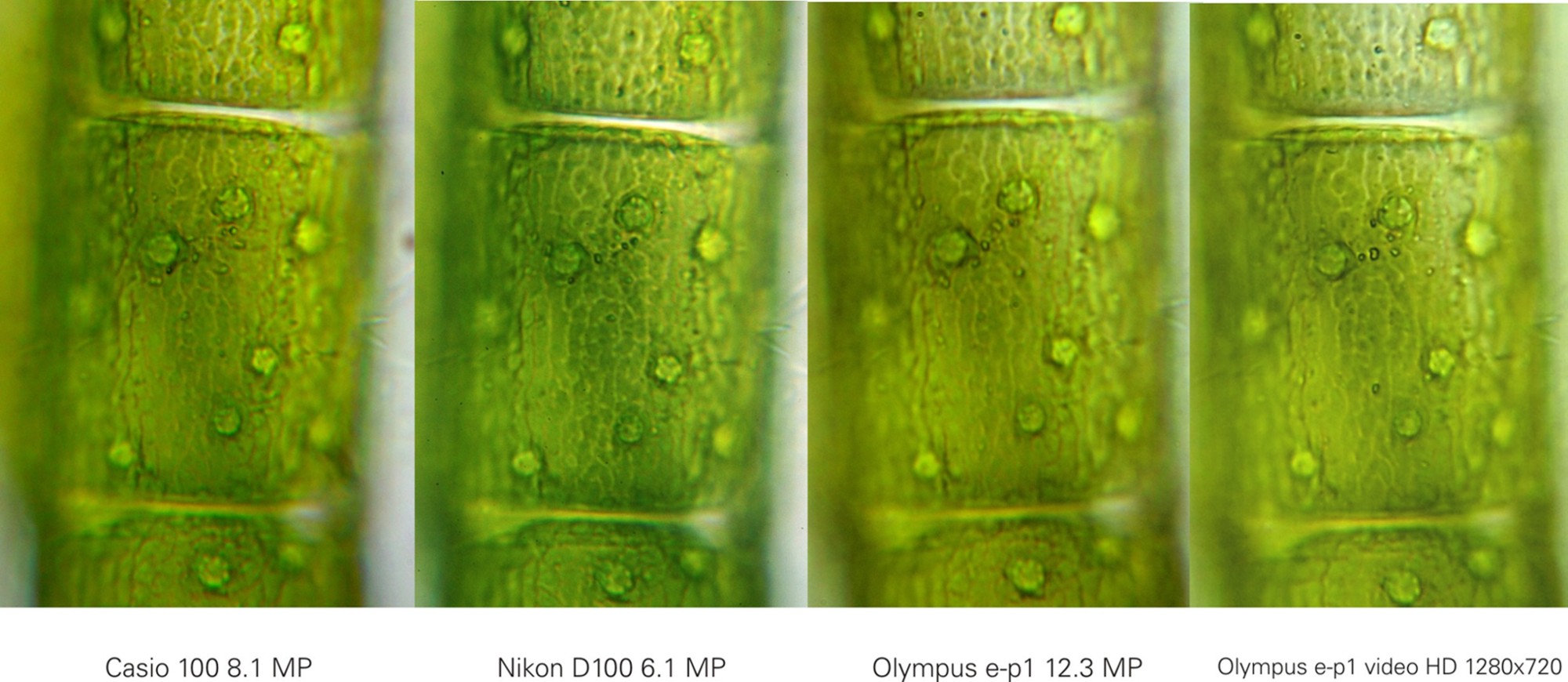 Prove comparative fotocamere